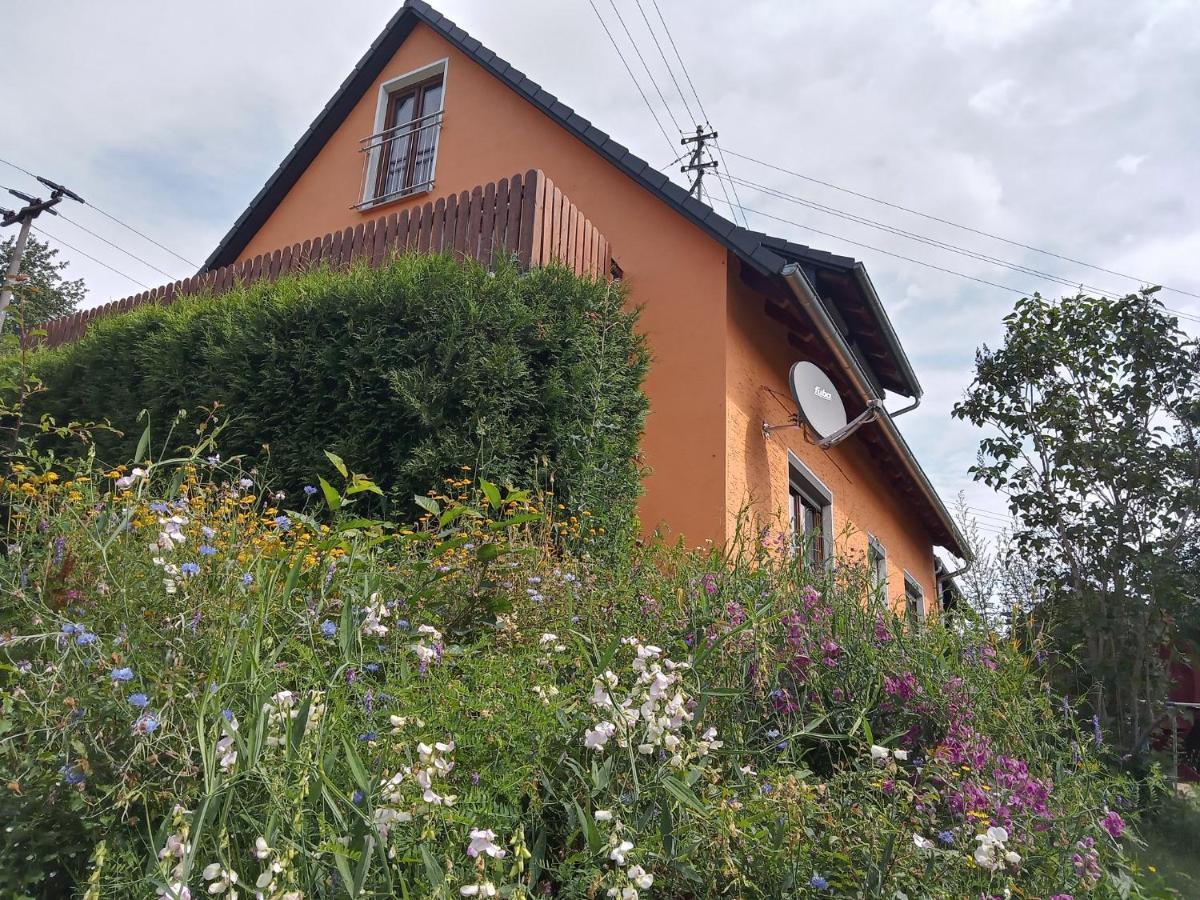 Ferienhaus Hilde Steinwiesen Екстериор снимка